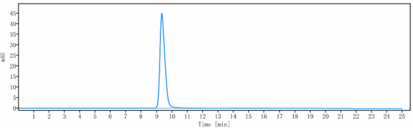Anti-human CEACAM5 / CEA / CD66e (Tusamitamab Biosimilar)