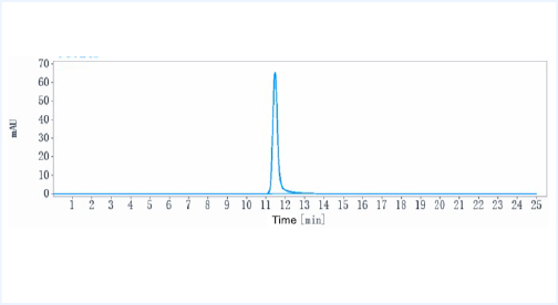 Anti-human VEGF (Ranibizumab Biosimilar)