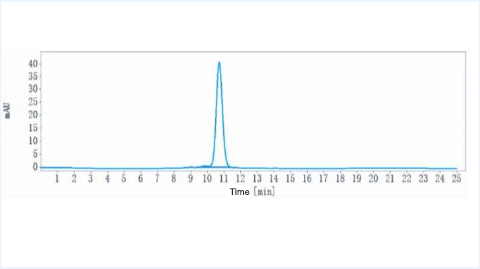 Anti-human ERBB2 / HER2 / CD340 (Disitamab vedotin Biosimilar)