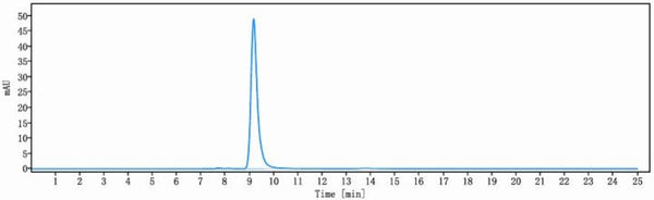 Anti-human Syndecan-1 / CD138 (Indatuximab Biosimilar)