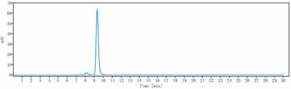 Anti-human GDF8 / Myostatin (Apitegromab Biosimilar)
