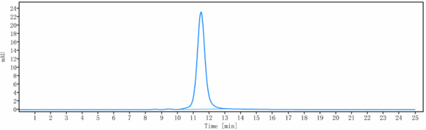 Anti-human HGF / SF (Rilotumumab Biosimilar)