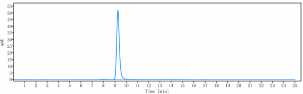Anti-human CEACAM5 / CEA / CD66e (CergutuzumAb Biosimilar)
