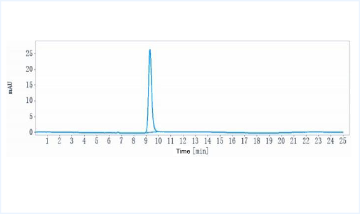 Anti-human TF / Factor III / Tissue Factor / CD142 (Tisotumab vedotin Biosimilar)