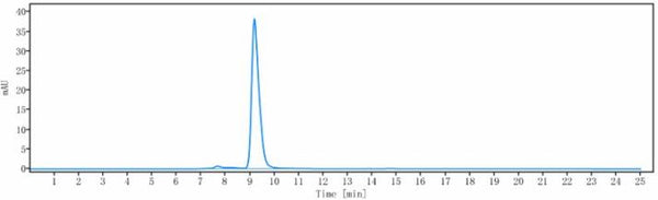 Anti-human IL-4Ra / CD124 (Dupilumab Biosimilar)