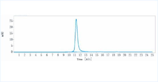 Anti-human CSF2Rb / CD131 (CSL311 Biosimilar)