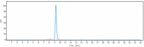 Anti-human Siglec-2 / CD22 (Pinatuzumab Biosimilar)