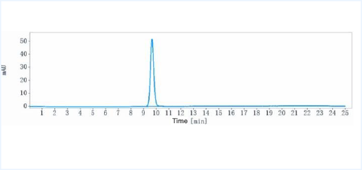 Anti-human ERBB1 / EGFR / HER1 (Matuzumab Biosimilar)