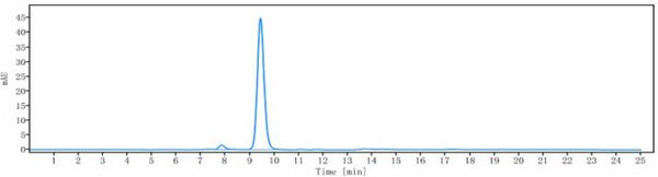 Anti-human TNFSF13B / BAFF / CD257 (Belimumab Biosimilar)