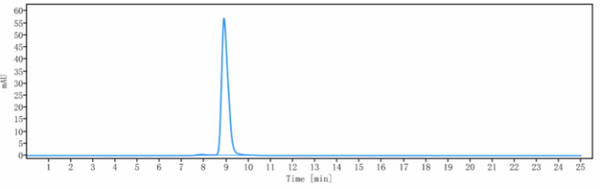 Anti-human SOST / Sclerostin (Romosozumab Biosimilar)