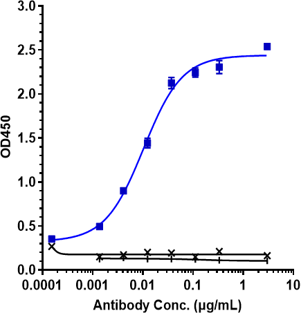 Anti-human TfR (Jr-141 Biosimilar)