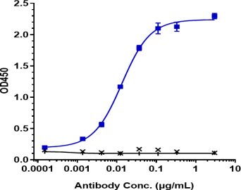 Anti-human FOLR1 / FRA (Mirvetuximab-MMAE Biosimilar)