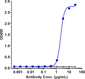 Anti-human FcRn (Batoclimab Biosimilar)