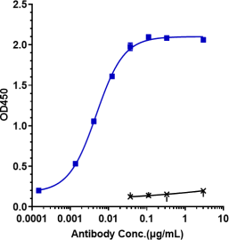 Anti-human HGFR / c-Met (Emibetuzumab Biosimilar)