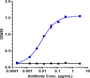 Anti-human ERBB3 / HER3 (Barecetamab Biosimilar)