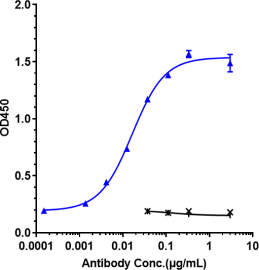 Anti-human IL-5Ra/ CD125 (Benralizumab Biosimilar)