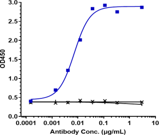 Anti-human SIRPa / CD172a (Hospital for Sick Children patent Anti-SIRPA Biosimilar)