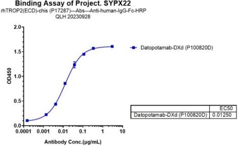 Anti-human TROP2 (Datopotamab deruxtecan Biosimilar)