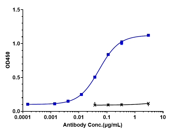 Anti-human TNFSF2 / TNFa (CDP571 Biosimilar)