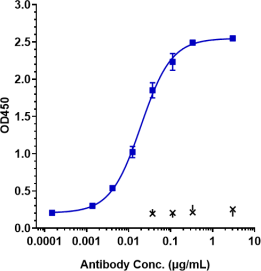 Anti-human ANGPT2 (Nesvacumab Biosimilar)