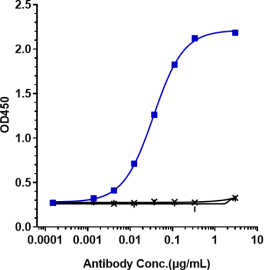 Anti-human TNFSF2 / TNFa (Infliximab Biosimilar)