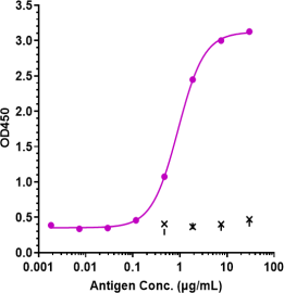 Anti-human Complement C5 (Eculizumab Biosimilar)