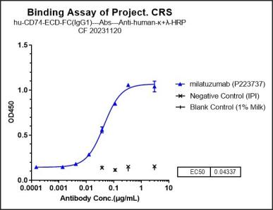 Anti-human CD74 (Milatuzumab Biosimilar)