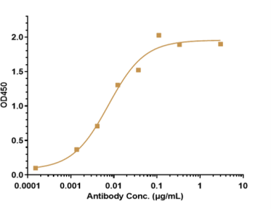 Anti-human Tau (Semorinemab Biosimilar)