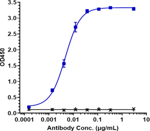 Anti-human TSPAN26 / CD37 (Naratuximab Biosimilar)