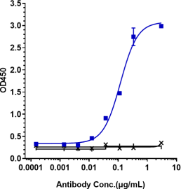 Anti-human IL-5 (Mepolizumab Biosimilar)