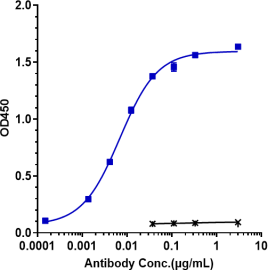Anti-human TNFRSF9 / 4-1BB / CD137 (Utomilumab Biosimilar)