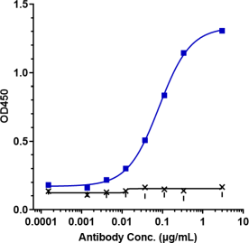 Anti-human TNFSF7 / CD27L / CD70 (Cusatuzumab Biosimilar)