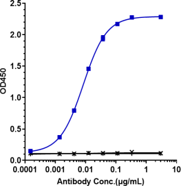 Anti-human TNFRSF9 / 4-1BB / CD137 (Urelumab Biosimilar)