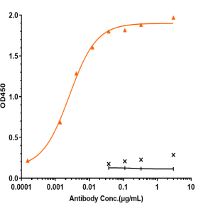ICAM1/CD54 rHu IgG1k mAb (Ref: Bersanlimab)