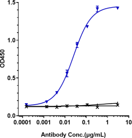 Anti-human HGF / SF (Rilotumumab Biosimilar)