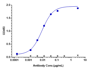 Anti-human ERBB2 / HER2 / CD340 (Trastuzumab-MMAE Biosimilar)