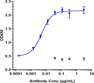 Anti-human FcRn (Nipocalimab Biosimilar)