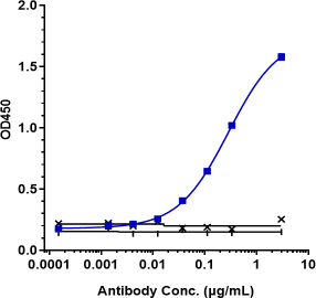 Anti-human Endoglin / CD105 (Carotuximab-MMAE Biosimilar)