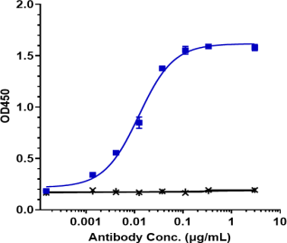 Anti-human CSF2Rb / CD131 (CSL311 Biosimilar)