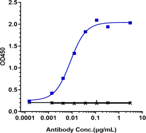 Anti-human TNFRSF13C / BAFFR / CD268 (Ianalumab Biosimilar)