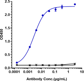 Anti-human ROR1 (Zilovertamab Biosimilar)