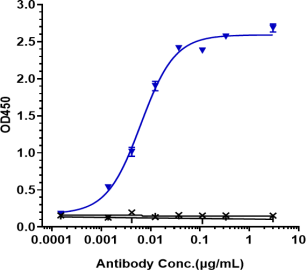 Anti-human MASP2 (Narsoplimab Biosimilar)