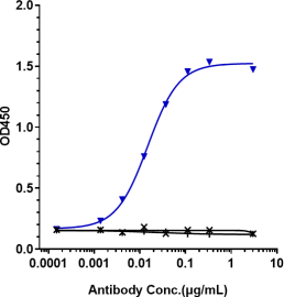Anti-human IgE (Talizumab Biosimilar)
