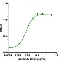 Anti-human ERBB1 / EGFR / HER1 (Cetuximab-MMAE Biosimilar)
