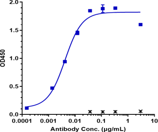 Anti-human FAP (Sibrotuzumab Biosimilar)