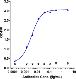Anti-human IFNg (AMG 811 Biosimilar)