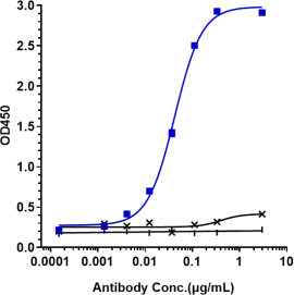 Anti-human CTLA-8 / IL-17a (Secukinumab Biosimilar)