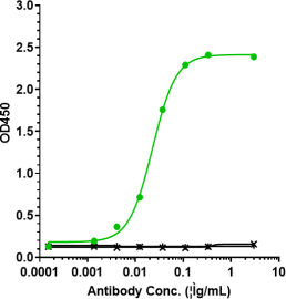 Anti-human IL-6 / IFNb2 (Olokizumab Biosimilar)
