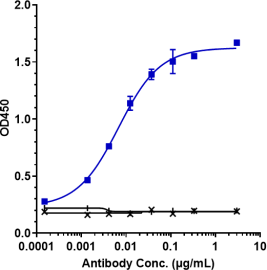 Anti-human IL-33 (Tozorakimab Biosimilar)