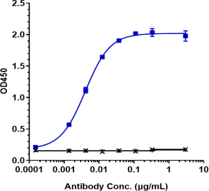 Anti-human CEACAM5 / CEA / CD66e (Tusamitamab Biosimilar)